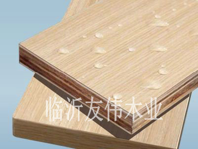 性膠合板對(duì)我，你要先知道奇數(shù)偶數(shù)